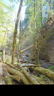 Photo de Joe Täschler le long du parcours