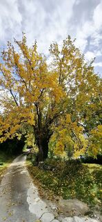Fotografie z Davor Umag City Croatia.?? na trase