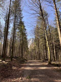 Fotografija s spletne strani HuHa na poti