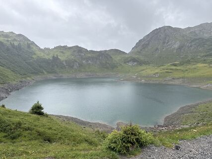 Foto von Grizzli entlang der Tour