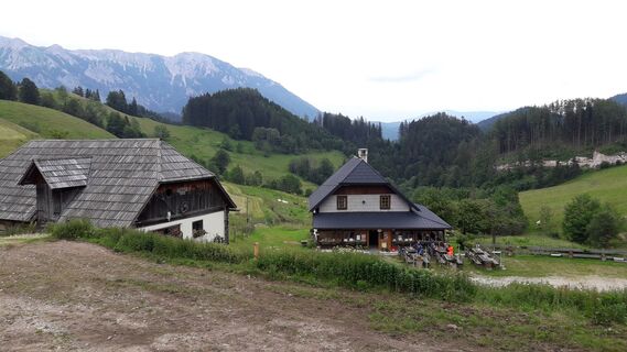 Falkensteinalm