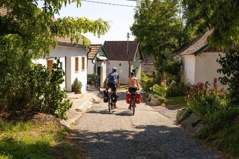 Durch die längste Kellergasse des Weinviertels