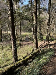 Fotografia z Ernst Schmid na trase