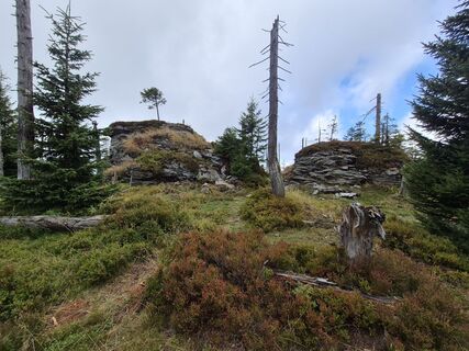 Foto von Wollomator entlang der Tour