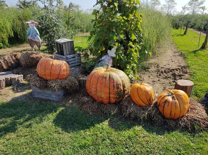 Foto fra sergio crippa undervejs på turen