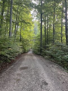 Photo de Roman Embacher le long du parcours