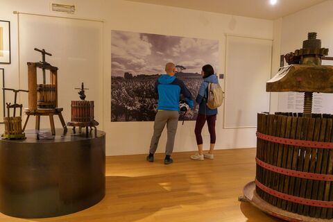 Museum der Weinkultur von Friaul Julisch Venetien