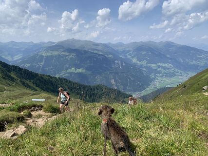 Fotografija s spletne strani Koen De Wit na poti