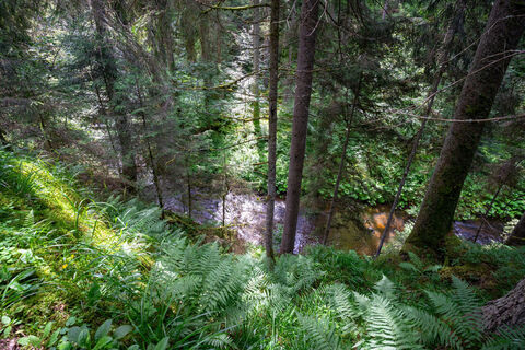 Rötenbachschlucht