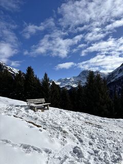 Photo de Olaf Sennhenn le long du parcours