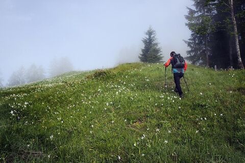 Opponitz Wandern