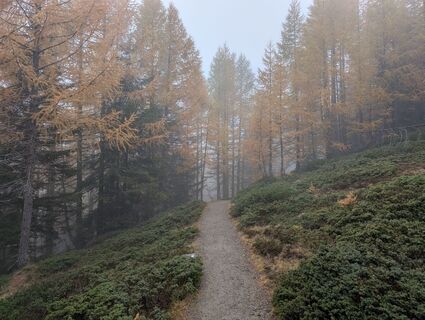 Foto von Leif entlang der Tour