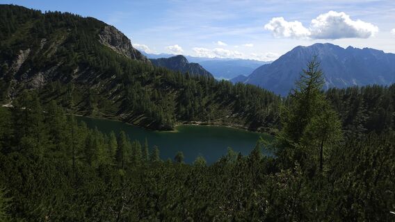 Fotografie de la kriessda de-a lungul turului