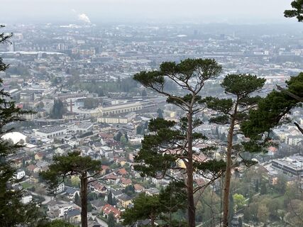 Fotografia z Meinrad Föger na trase