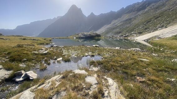 Photo de Cinzia le long du parcours