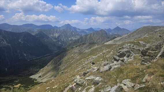 Foto von Francesco Höllbacher entlang der Tour