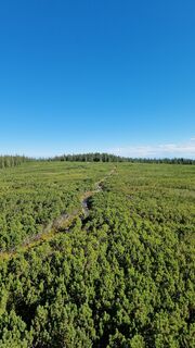 Foto von Roman Kramer entlang der Tour
