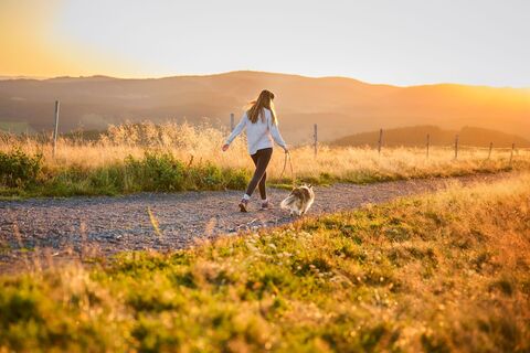 Wandern mit Hund