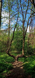 Foto von ReginaSt entlang der Tour