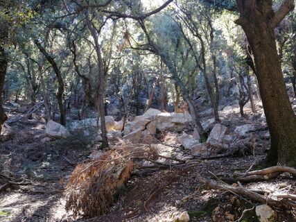 Foto från M-C-B under resans gång