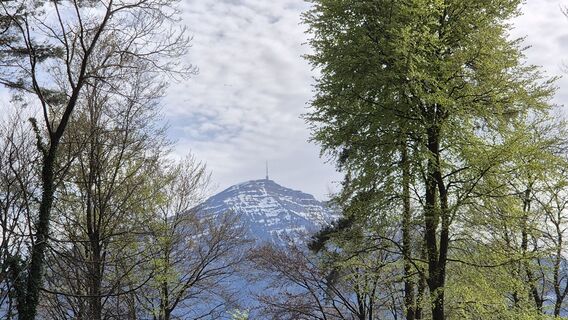 Fotografia z Karolos na trase