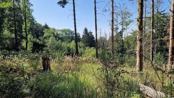 Unterwegs