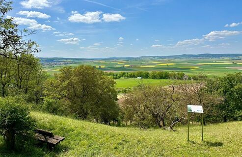 MSLT ausblick-auf-das-amoeneburger-becken (2).jpg