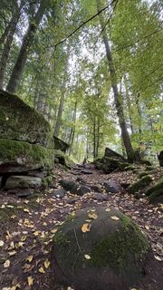 Foto de Siggi unterwegs a lo largo del recorrido