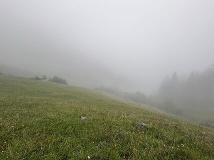 Fotografija s spletne strani David Manzl na poti