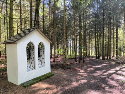 Fotografie z David Hincziza na trase