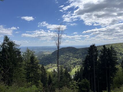 Foto von György Bartha 1 entlang der Tour