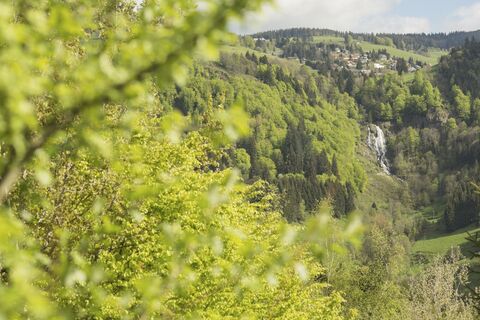 Blick vom Grillplatz Hasbach zum Todtnauer Wasserfall