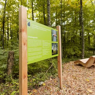 Infoschild am Walderlebnispfad