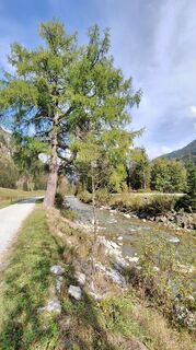 Foto von Susi entlang der Tour