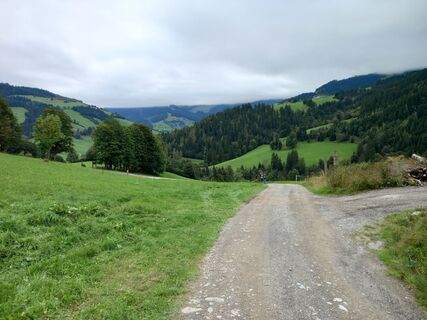 Foto von Tamás Kiss (Mr. Mojo) entlang der Tour