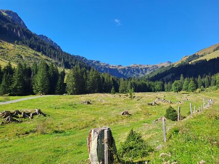 Foto von Wanderbursche66 entlang der Tour