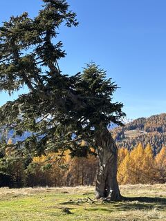 Foto von TomWalder entlang der Tour