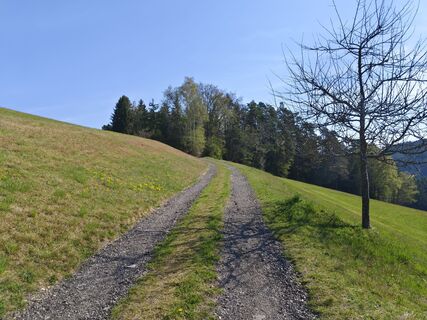 Fotografia z flexl-e na trase