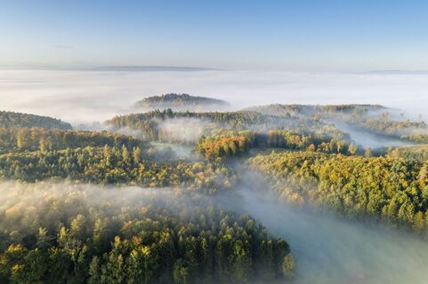Bodanrück-Allensbach