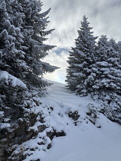 Фото с сайта Heinz Sperl во время экскурсии