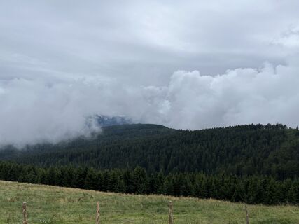 Anger_Stoisseralm