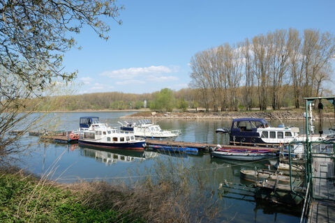 Herseler Werth, Bornheim