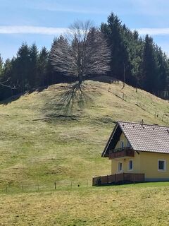 Photo de NIKOLAOS ASLANIDIS le long du parcours