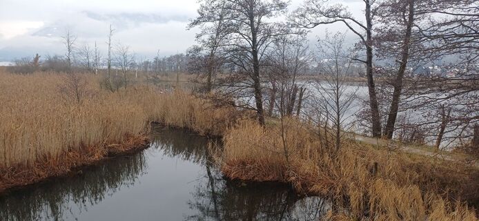 Foto von Thomas Michalek 1 entlang der Tour