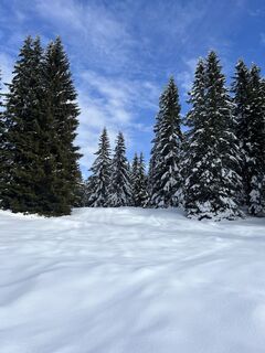 Foto von Verena liebhart entlang der Tour