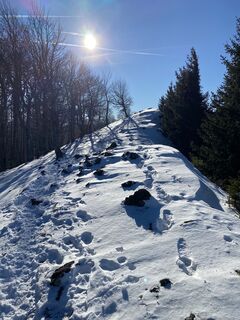 Foto de Verena Oberleitner a lo largo del recorrido