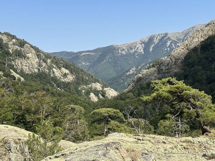 Fotografija s spletne strani DML na poti