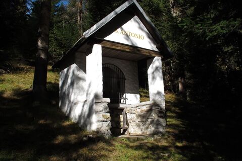 Chiesetta nel bosco