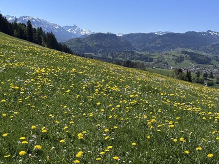 Foto von Denise Miller entlang der Tour