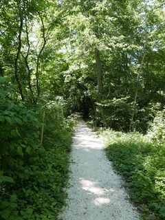 Lippeweg kurz vor der Wartenburg-Brücke